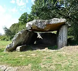 Pierre couverte de Saugré