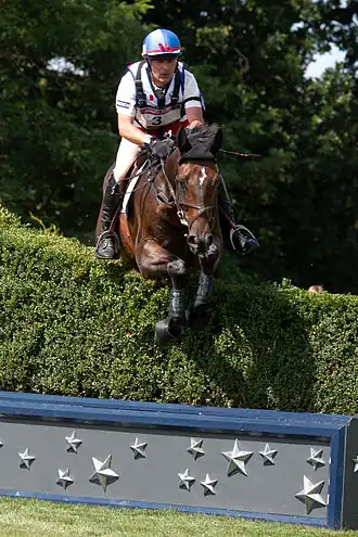 Image illustrative de l’article Denis Mesples