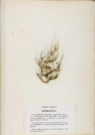 Description de cette image, également commentée ci-après