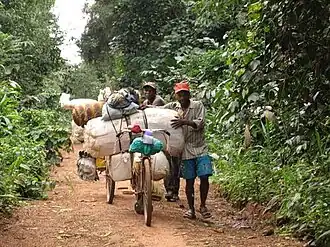 Mambasa (territoire)