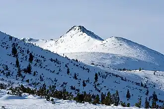 Le sommet Dessilitsa&nbsp;(bg).