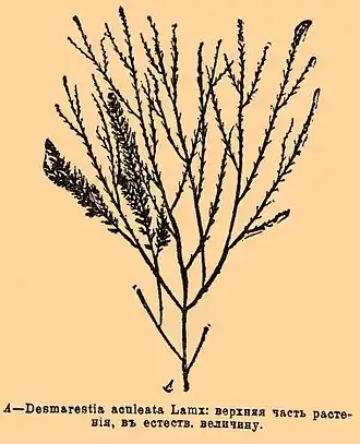 Description de cette image, également commentée ci-après