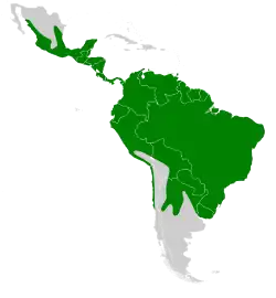 Carte de l'Amérique centrale et du sud représentant la répartition des Vampires, seule la Cordillère des Andes et le sud de l'Argentine ne sont pas concernés.