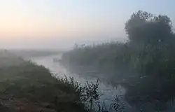 Petit cours d'eau, dans un brouillard matinal, traversant un pré.