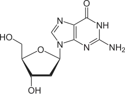 structure chimique de la désoxyguanosine