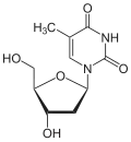 structure chimique de la thymidine