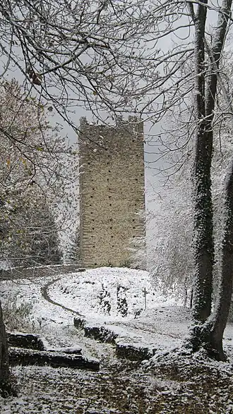 Image illustrative de l’article Château de Montmayeur