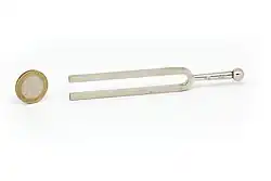 Image illustrative de l’article Diapason