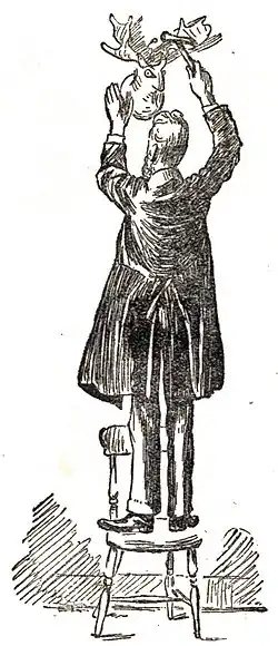 Homme perché sur un tabouret accrochant des bois de cerf au mur