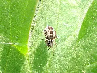 Description de cette image, également commentée ci-après