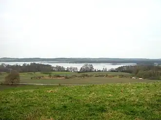 Image illustrative de l’article Lieps