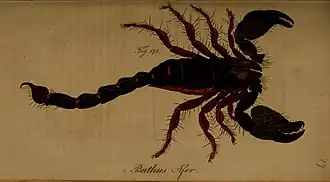 Description de cette image, également commentée ci-après