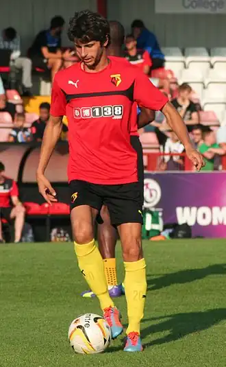 Image illustrative de l’article Diego Fabbrini