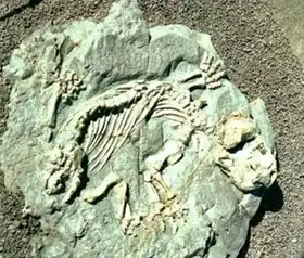 Description de cette image, également commentée ci-après