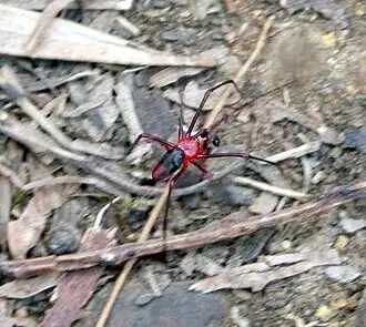 Description de cette image, également commentée ci-après