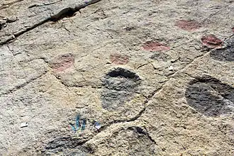 Description de cette image, également commentée ci-après