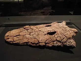 Description de cette image, également commentée ci-après