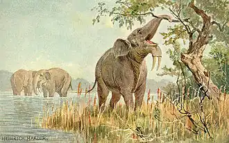 Restitution de D. giganteum par le paléoartiste Heinrich Harder.