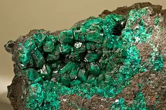 Dioptase - Renéville, République du Congo (13&nbsp;×&nbsp;12&nbsp;cm)