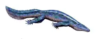 Diplovertebron punctatum