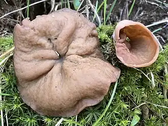 Description de cette image, également commentée ci-après