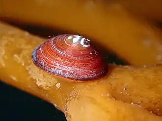 Description de cette image, également commentée ci-après