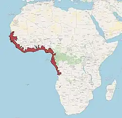 Aire de répartition de C. guineensis d'après l'UICN (2024)
