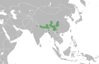Description de cette image, également commentée ci-après
