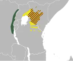 La Souimanga à ailes dorées se répartit de la manière suivante : la sous-espèce reichenowi peuple le Nord-Ouest de la Tanzanie au niveau de la frontière avec le Kenya, et peut également être trouvée au Kenya sur la partie sud-ouest, et enfin en Ouganda où elle peut-être trouvé dans la partie sud-est, sur la zone frontalière avec le Kenya et proche du lac Victoria. La sous-espèce lathburyi coexiste avec la sous espèce reichenowi, mais seulement au Kenya. Enfin, la sous-espèce shellyae se rencontre en République Démocratique du Congo le long de la frontière avec l'Ouganda, le Burundi et le Rwanda.