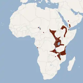 Description de cette image, également commentée ci-après