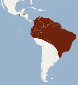 Description de l'image Distribution of Eumops hansae.png.