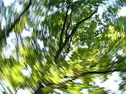 Image illustrative de l’article Étourdissement