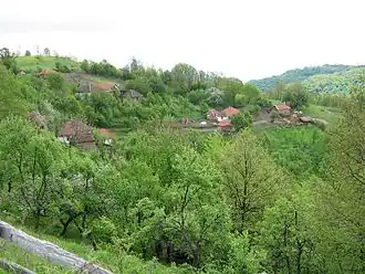 Dobroselica (Rekovac)