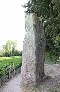 Le menhir nommé localement Pierre de Gargantua.