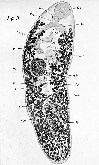 Description de cette image, également commentée ci-après