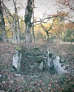 Dolmen de la Combe de l'Ours no&nbsp;1