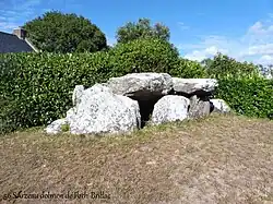 Image illustrative de l’article Dolmen de Lannek-er-Men