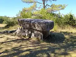 Image illustrative de l’article Dolmen de Laumède