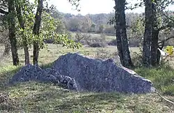 Image illustrative de l’article Dolmen des Plassous