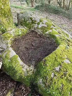 vue du pressoir à pommes