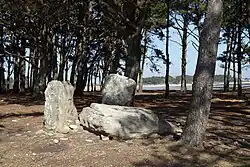 Image illustrative de l’article Dolmen d'Er Houel