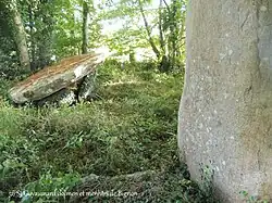 Dolmen et menhir de Bignon.