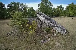 Dolmen de Dirau