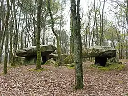 Image illustrative de l’article Dolmen de Mané Bihan