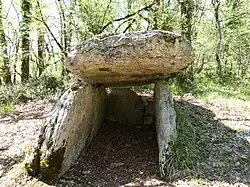 Image illustrative de l’article Dolmen de Marie-Gaillard