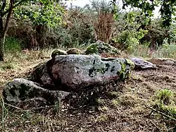 Image illustrative de l’article Dolmen de la Briordais