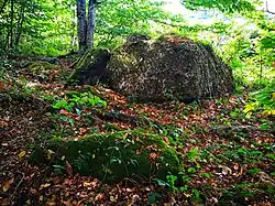 Dolmen du Grand Pontet