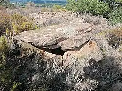 Image illustrative de l’article Caixeta