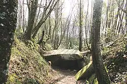 Dolmen du Pouey Mayou en 2021