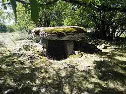 Dolmen d'Agranel